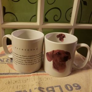 Dachshunds mug 16 oz coffee mug set of 2